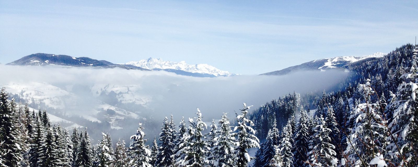 Verschneiter Winterwald in Österreich